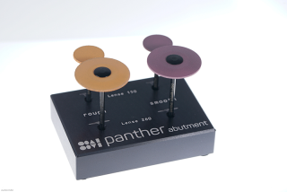 803 104 Panther Abutment SET 02